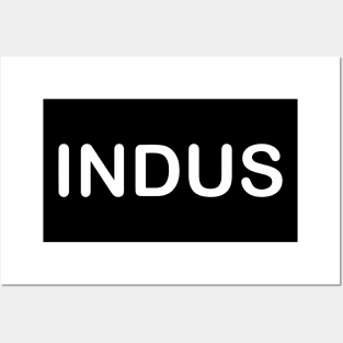 INDUS Posters and Art